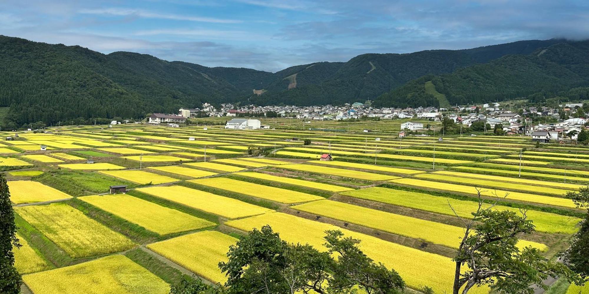 Pearl Yoshigoe Nozawaonsen Exterior foto